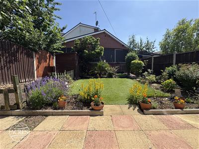 Picture 37